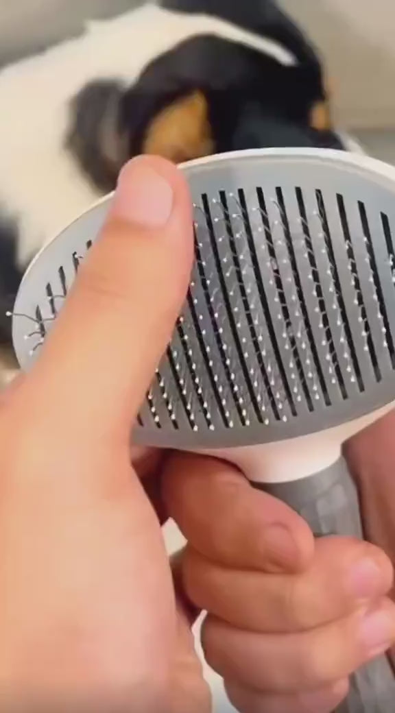 One-Click Pet Hair Remover Brush – Shedding Comb for Cats & Dogs with Stainless Steel Needle Pins