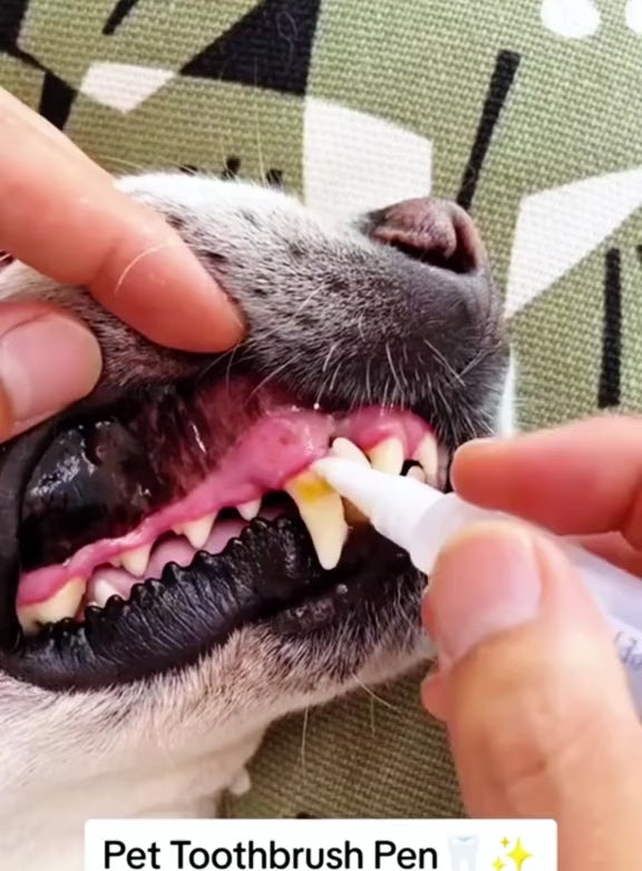 Pet Dental Cleaning Pen for Dogs & Cats