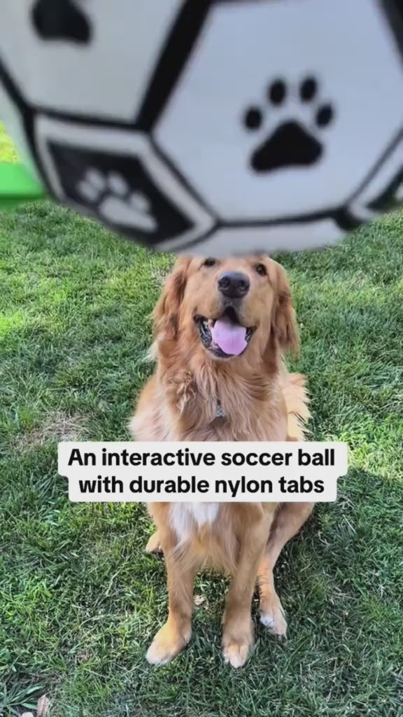Durable Rubber Dog Soccer Ball with Handles – Interactive Bite-Resistant Toy for All Breeds (Purple & Black Paw Design)